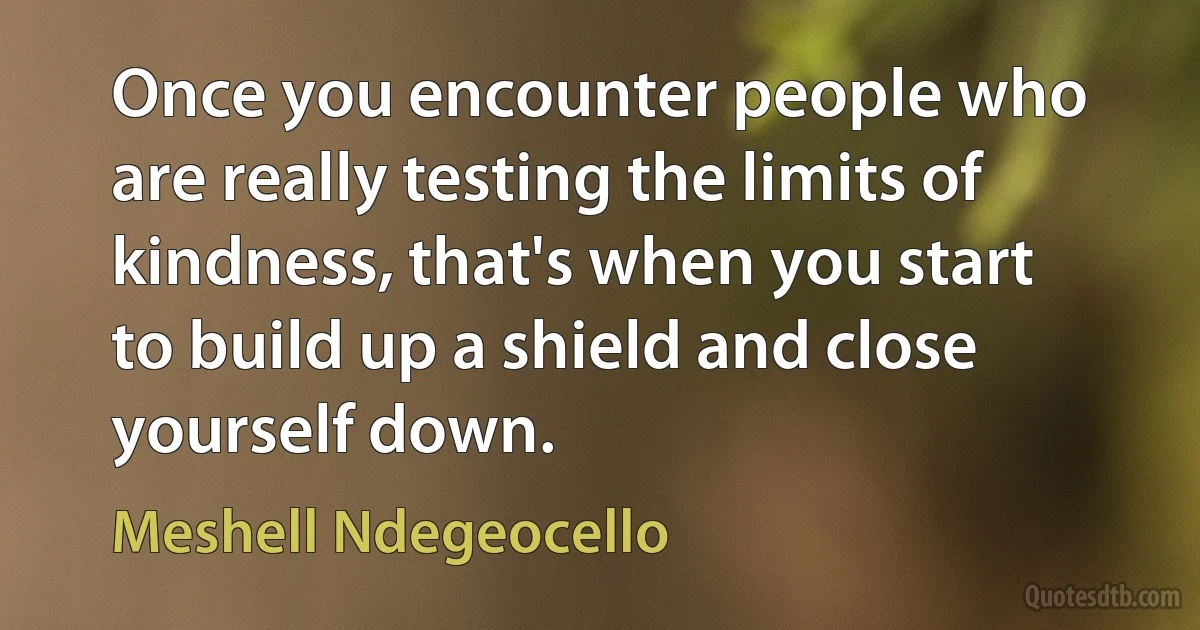 Once you encounter people who are really testing the limits of kindness, that's when you start to build up a shield and close yourself down. (Meshell Ndegeocello)