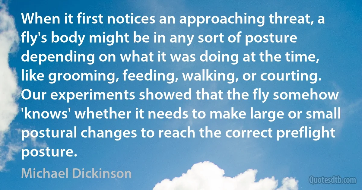 When it first notices an approaching threat, a fly's body might be in any sort of posture depending on what it was doing at the time, like grooming, feeding, walking, or courting. Our experiments showed that the fly somehow 'knows' whether it needs to make large or small postural changes to reach the correct preflight posture. (Michael Dickinson)