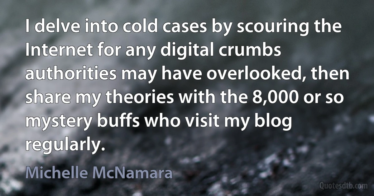 I delve into cold cases by scouring the Internet for any digital crumbs authorities may have overlooked, then share my theories with the 8,000 or so mystery buffs who visit my blog regularly. (Michelle McNamara)