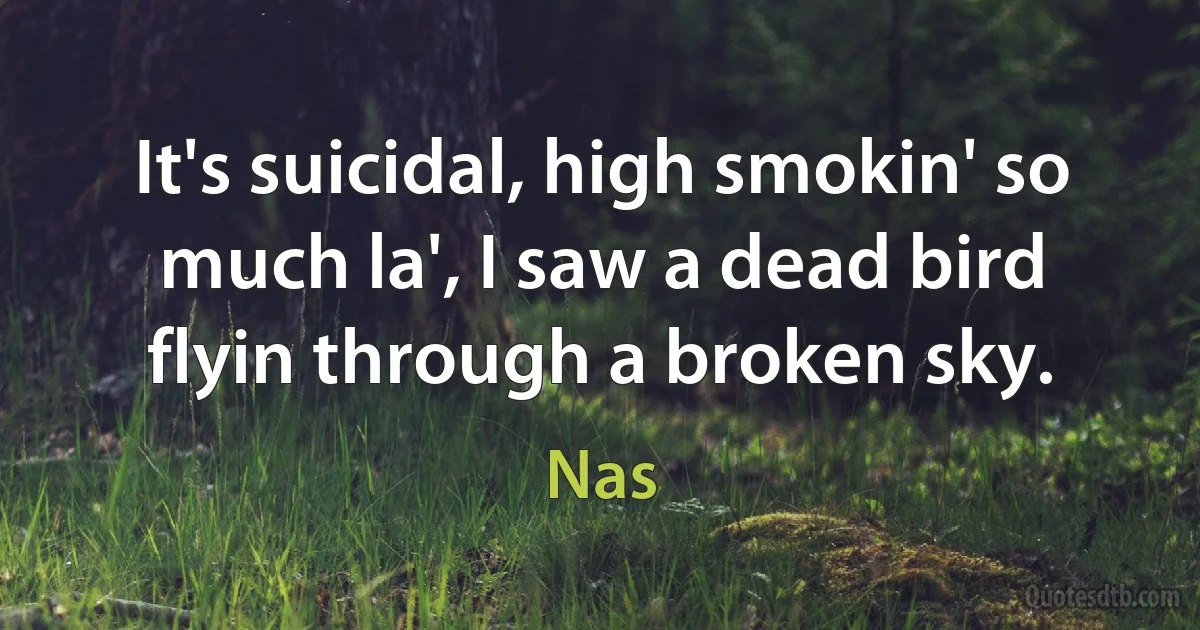 It's suicidal, high smokin' so much la', I saw a dead bird flyin through a broken sky. (Nas)