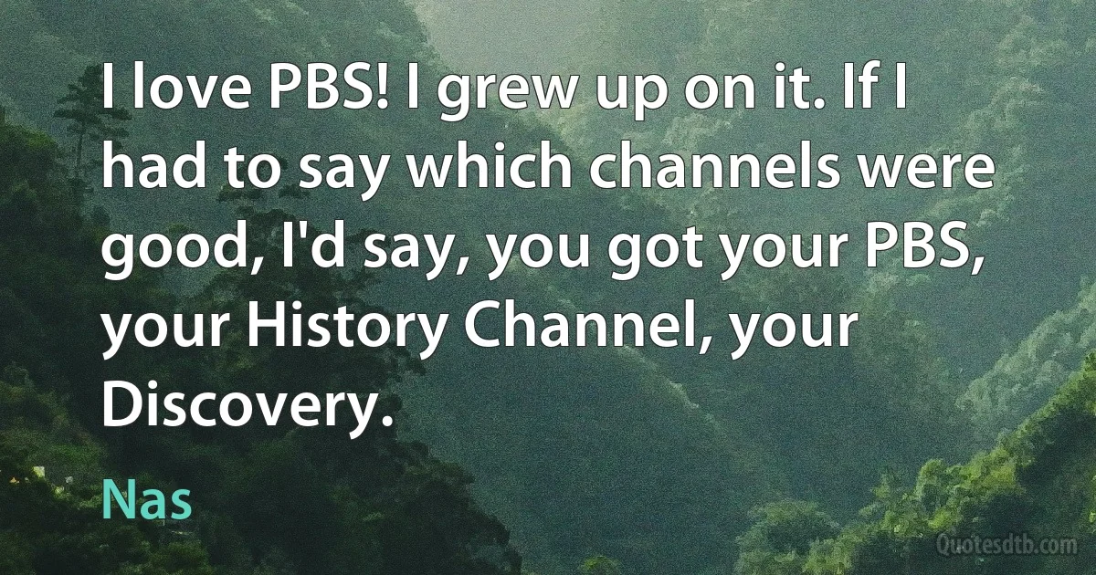 I love PBS! I grew up on it. If I had to say which channels were good, I'd say, you got your PBS, your History Channel, your Discovery. (Nas)