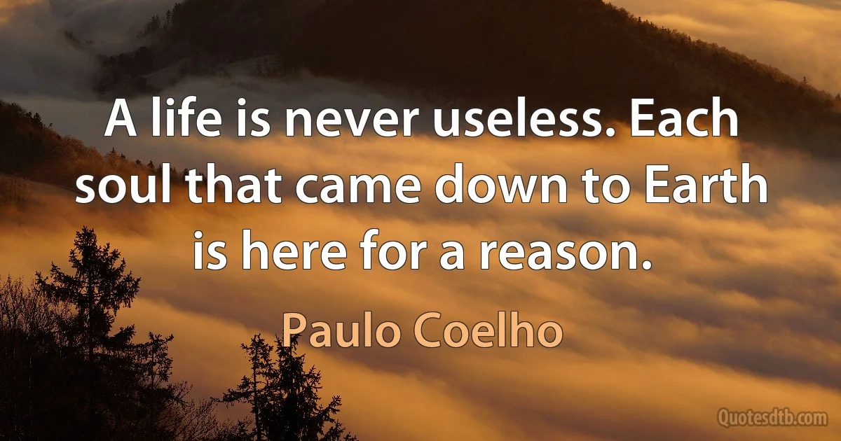 A life is never useless. Each soul that came down to Earth is here for a reason. (Paulo Coelho)