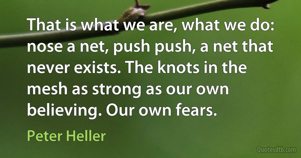 That is what we are, what we do: nose a net, push push, a net that never exists. The knots in the mesh as strong as our own believing. Our own fears. (Peter Heller)