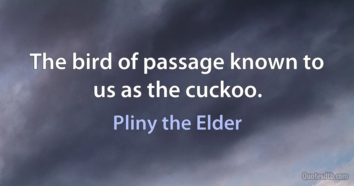 The bird of passage known to us as the cuckoo. (Pliny the Elder)