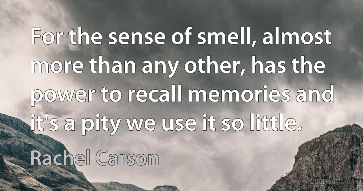 For the sense of smell, almost more than any other, has the power to recall memories and it's a pity we use it so little. (Rachel Carson)