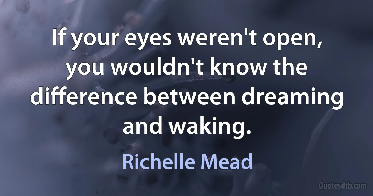 If your eyes weren't open, you wouldn't know the difference between dreaming and waking. (Richelle Mead)