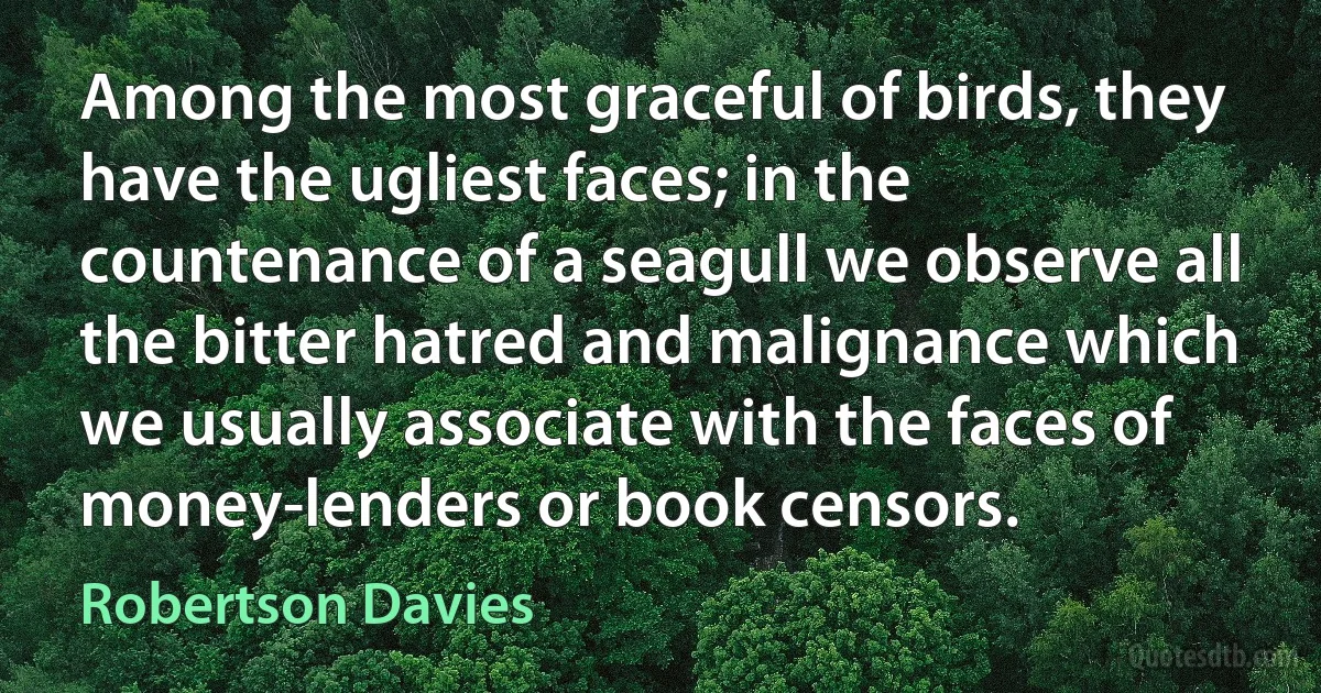 Among the most graceful of birds, they have the ugliest faces; in the countenance of a seagull we observe all the bitter hatred and malignance which we usually associate with the faces of money-lenders or book censors. (Robertson Davies)