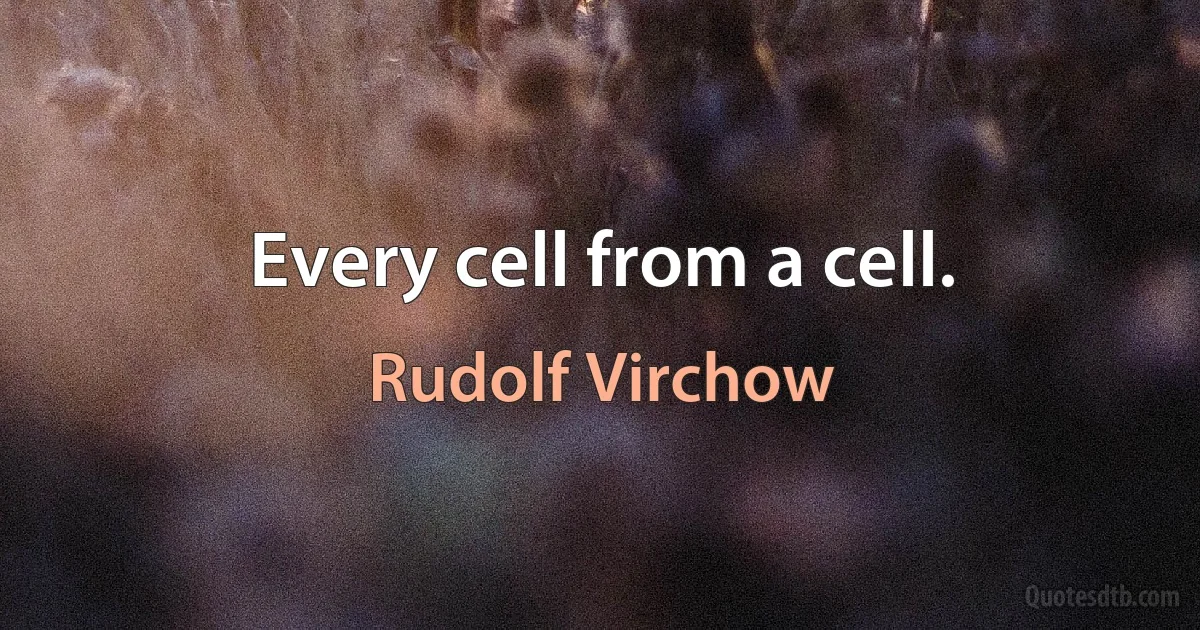 Every cell from a cell. (Rudolf Virchow)