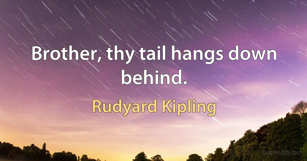 Brother, thy tail hangs down behind. (Rudyard Kipling)