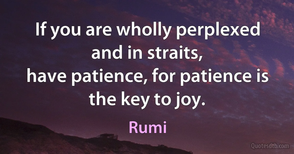 If you are wholly perplexed and in straits,
have patience, for patience is the key to joy. (Rumi)