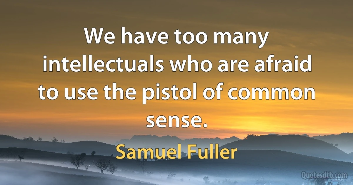 We have too many intellectuals who are afraid to use the pistol of common sense. (Samuel Fuller)