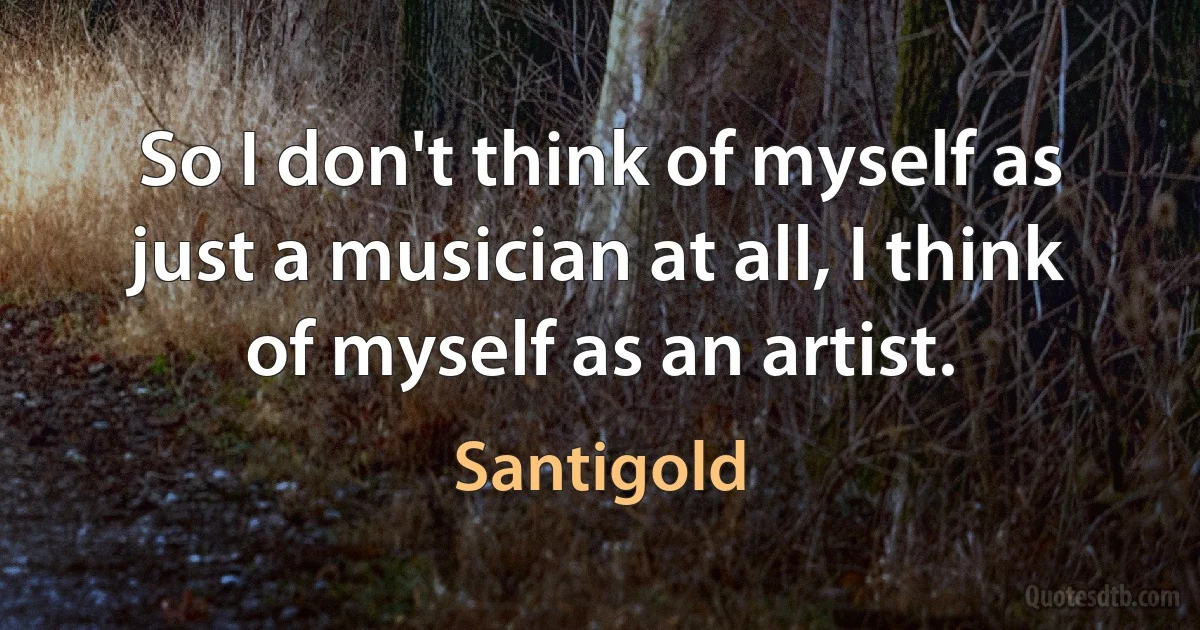 So I don't think of myself as just a musician at all, I think of myself as an artist. (Santigold)