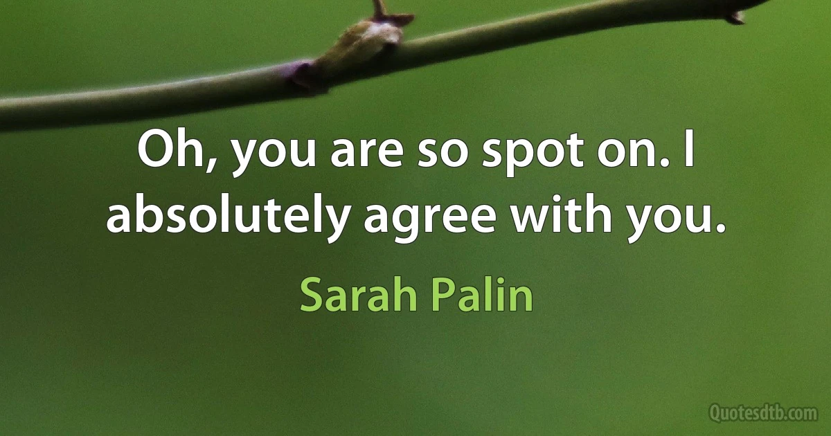 Oh, you are so spot on. I absolutely agree with you. (Sarah Palin)