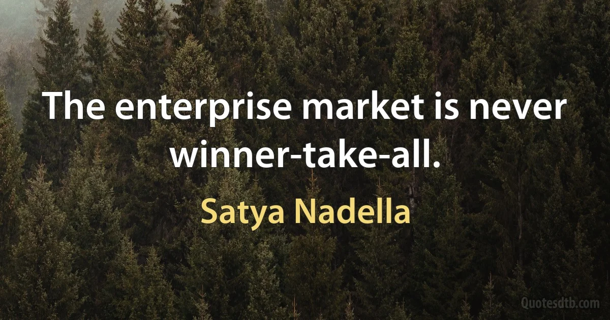 The enterprise market is never winner-take-all. (Satya Nadella)