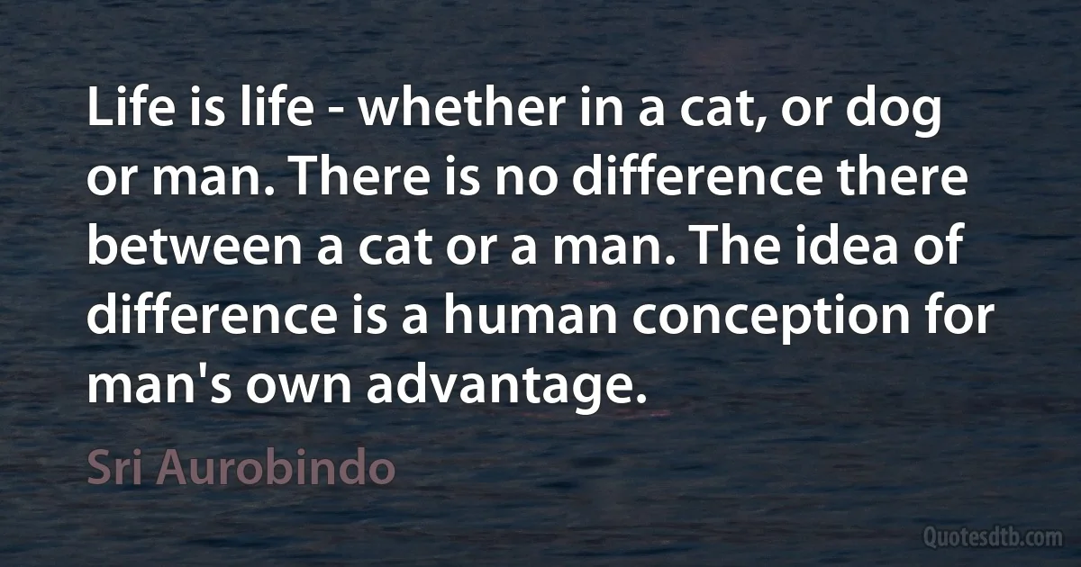 Life is life - whether in a cat, or dog or man. There is no difference there between a cat or a man. The idea of difference is a human conception for man's own advantage. (Sri Aurobindo)