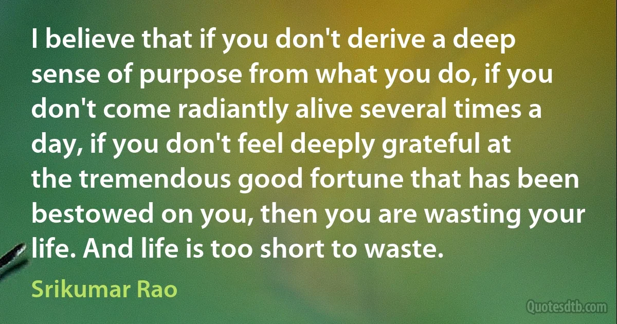 I believe that if you don't derive a deep sense of purpose from what you do, if you don't come radiantly alive several times a day, if you don't feel deeply grateful at the tremendous good fortune that has been bestowed on you, then you are wasting your life. And life is too short to waste. (Srikumar Rao)