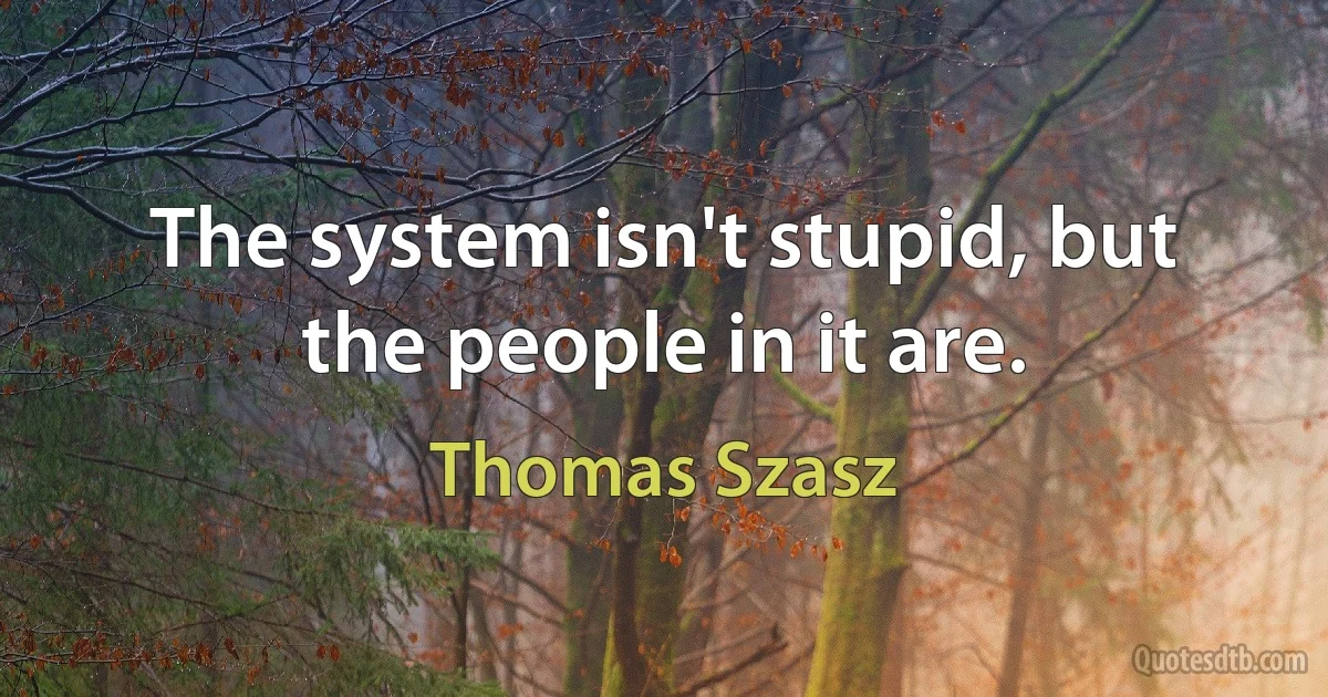 The system isn't stupid, but the people in it are. (Thomas Szasz)