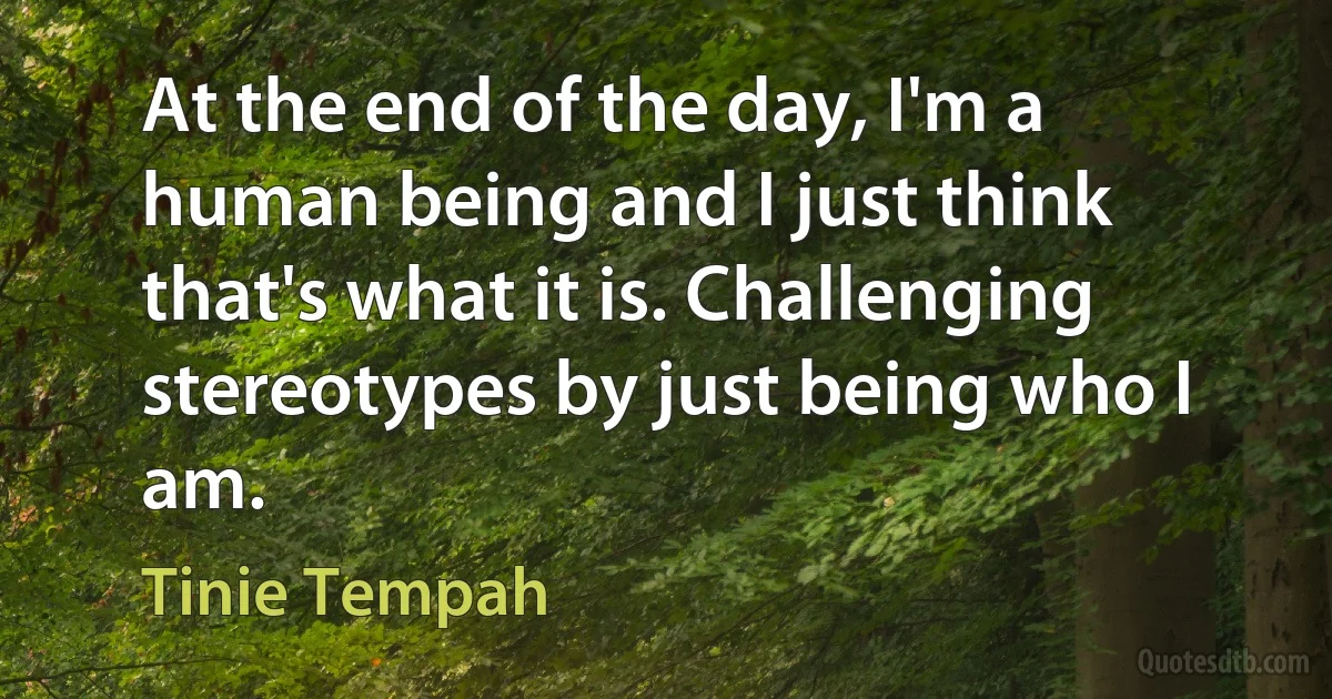 At the end of the day, I'm a human being and I just think that's what it is. Challenging stereotypes by just being who I am. (Tinie Tempah)