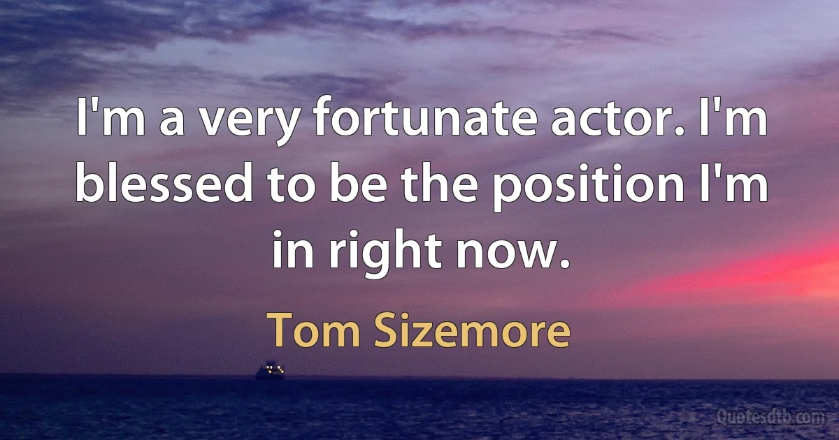 I'm a very fortunate actor. I'm blessed to be the position I'm in right now. (Tom Sizemore)