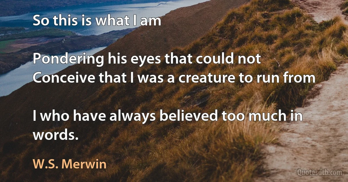 So this is what I am

Pondering his eyes that could not
Conceive that I was a creature to run from

I who have always believed too much in words. (W.S. Merwin)