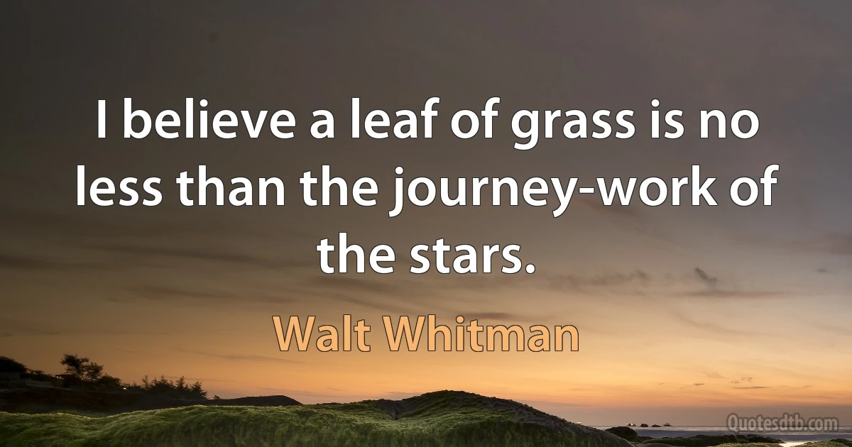 I believe a leaf of grass is no less than the journey-work of the stars. (Walt Whitman)