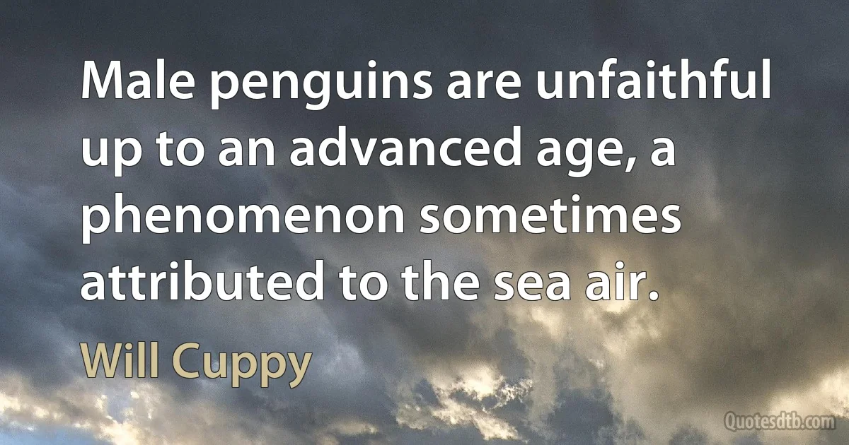 Male penguins are unfaithful up to an advanced age, a phenomenon sometimes attributed to the sea air. (Will Cuppy)