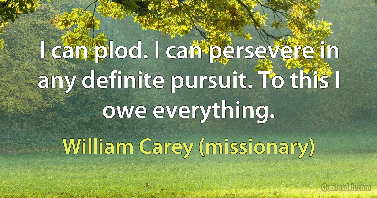 I can plod. I can persevere in any definite pursuit. To this I owe everything. (William Carey (missionary))