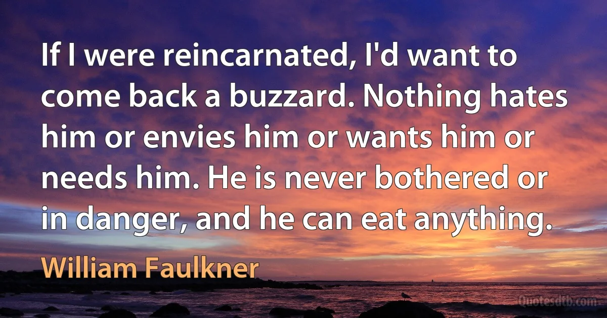 If I were reincarnated, I'd want to come back a buzzard. Nothing hates him or envies him or wants him or needs him. He is never bothered or in danger, and he can eat anything. (William Faulkner)