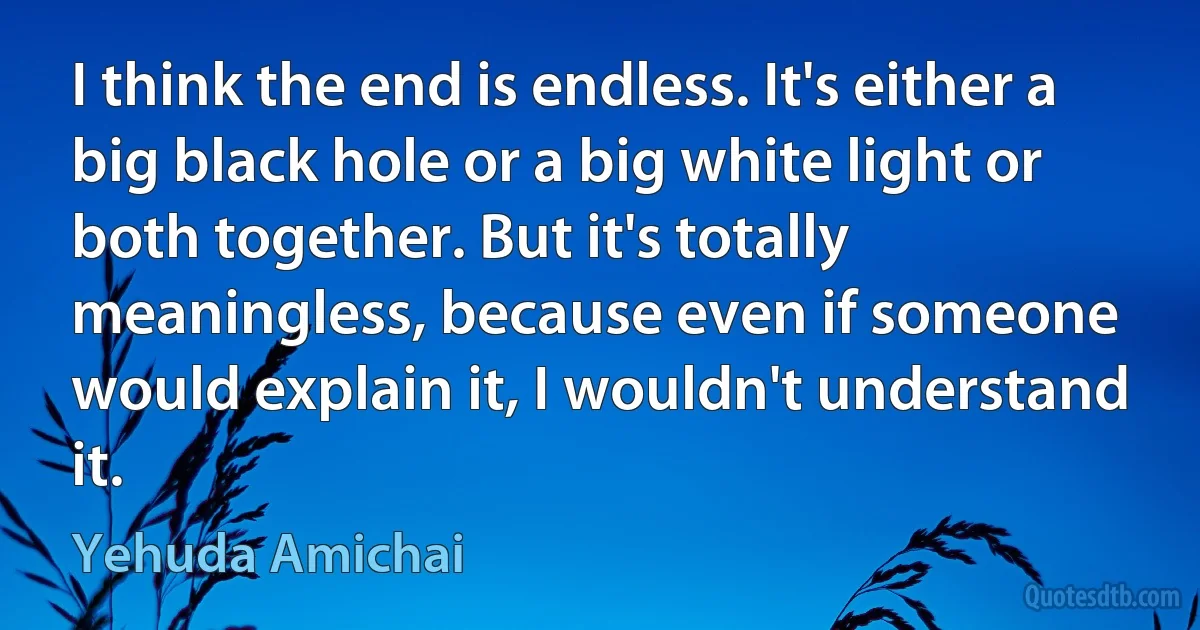 I think the end is endless. It's either a big black hole or a big white light or both together. But it's totally meaningless, because even if someone would explain it, I wouldn't understand it. (Yehuda Amichai)