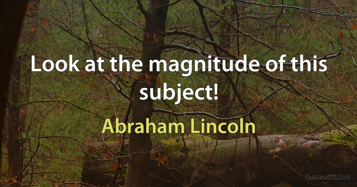 Look at the magnitude of this subject! (Abraham Lincoln)