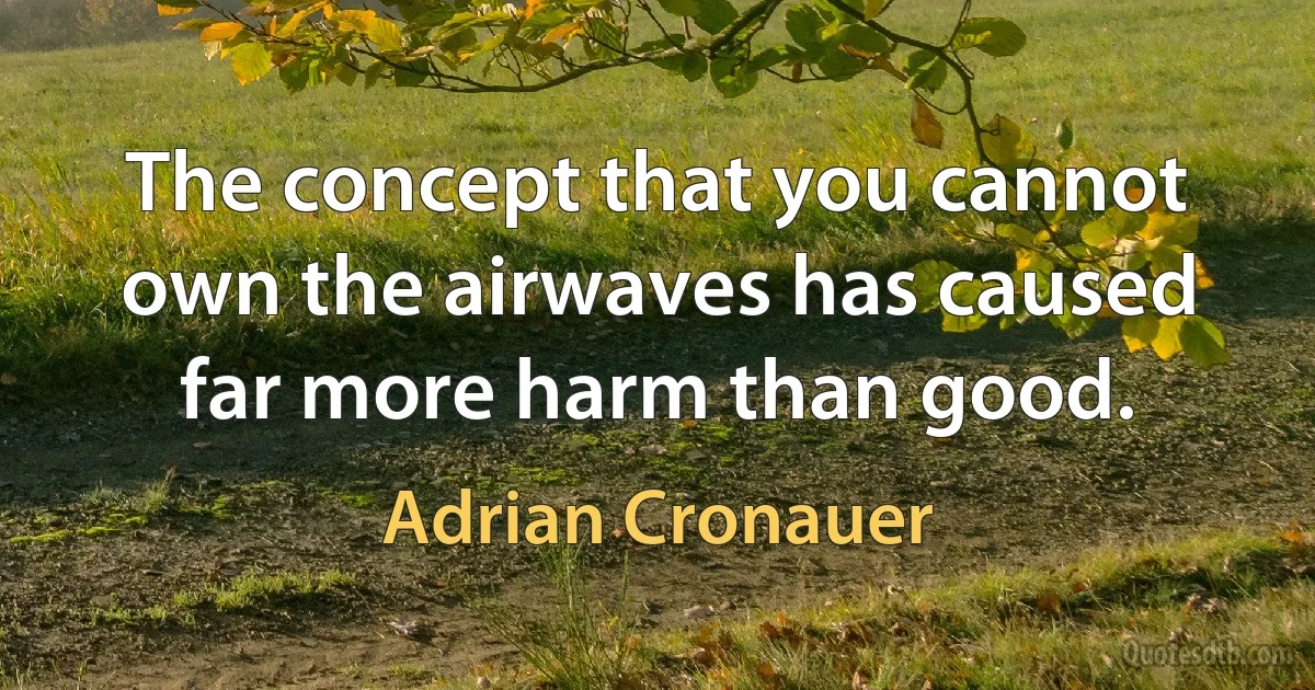 The concept that you cannot own the airwaves has caused far more harm than good. (Adrian Cronauer)