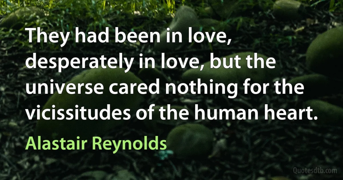 They had been in love, desperately in love, but the universe cared nothing for the vicissitudes of the human heart. (Alastair Reynolds)