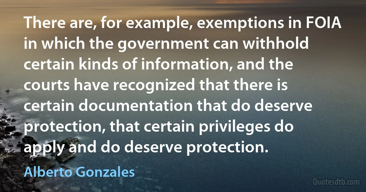 There are, for example, exemptions in FOIA in which the government can withhold certain kinds of information, and the courts have recognized that there is certain documentation that do deserve protection, that certain privileges do apply and do deserve protection. (Alberto Gonzales)