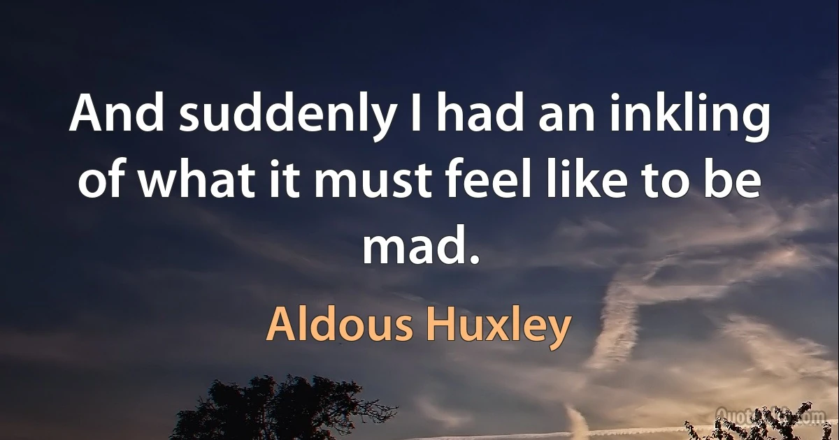 And suddenly I had an inkling of what it must feel like to be mad. (Aldous Huxley)