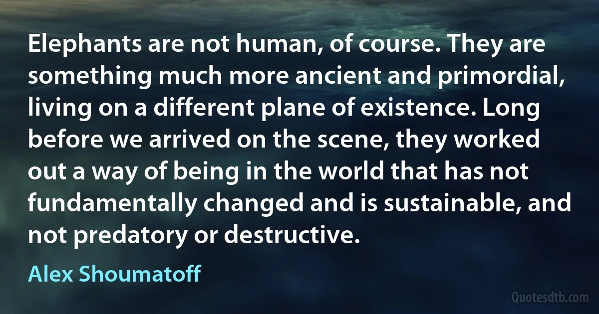 Elephants are not human, of course. They are something much more ancient and primordial, living on a different plane of existence. Long before we arrived on the scene, they worked out a way of being in the world that has not fundamentally changed and is sustainable, and not predatory or destructive. (Alex Shoumatoff)