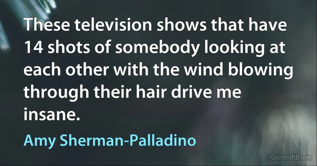 These television shows that have 14 shots of somebody looking at each other with the wind blowing through their hair drive me insane. (Amy Sherman-Palladino)