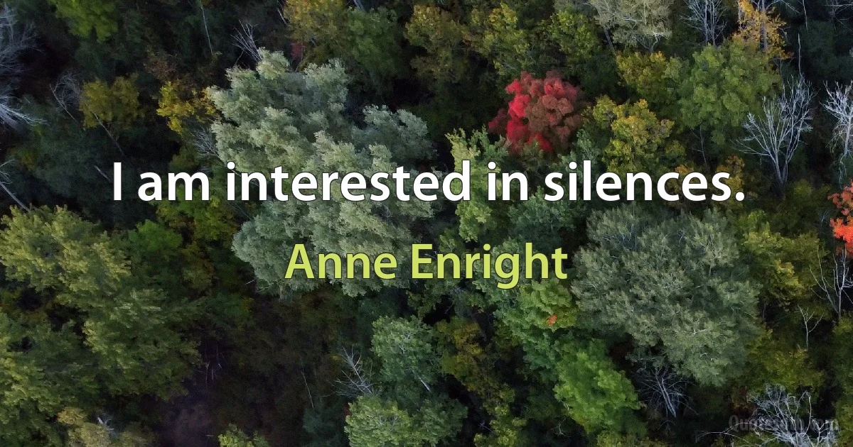 I am interested in silences. (Anne Enright)