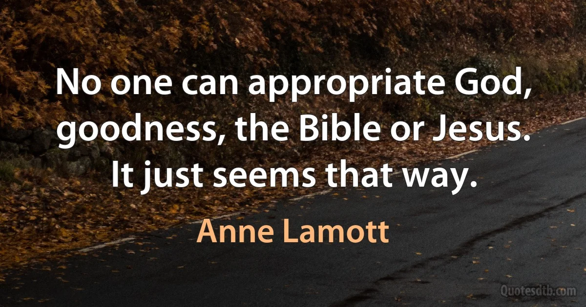 No one can appropriate God, goodness, the Bible or Jesus. It just seems that way. (Anne Lamott)