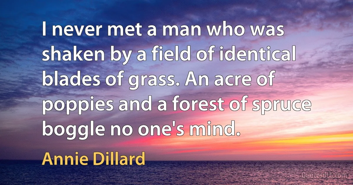 I never met a man who was shaken by a field of identical blades of grass. An acre of poppies and a forest of spruce boggle no one's mind. (Annie Dillard)