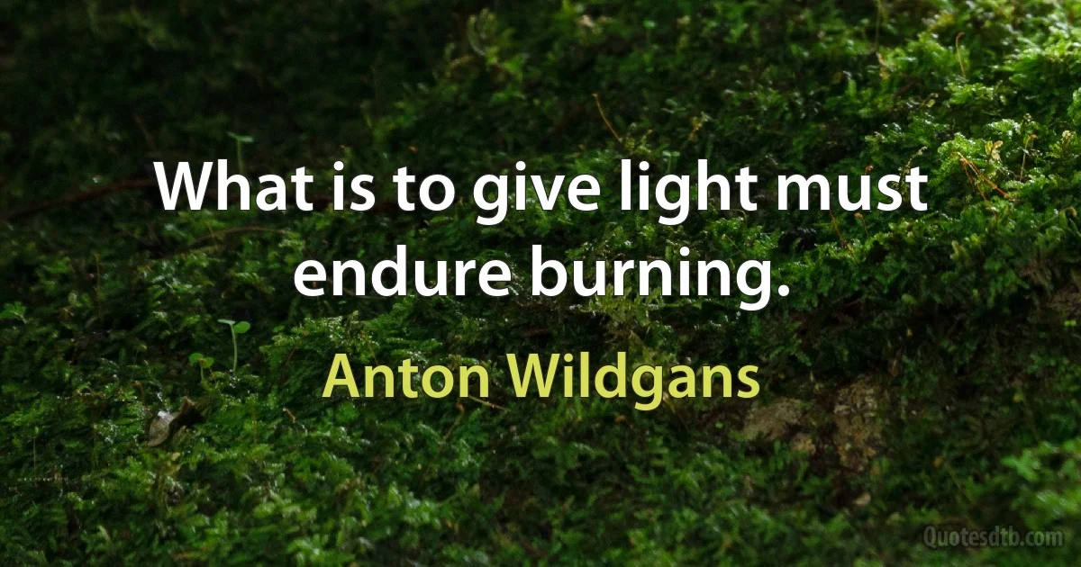 What is to give light must endure burning. (Anton Wildgans)