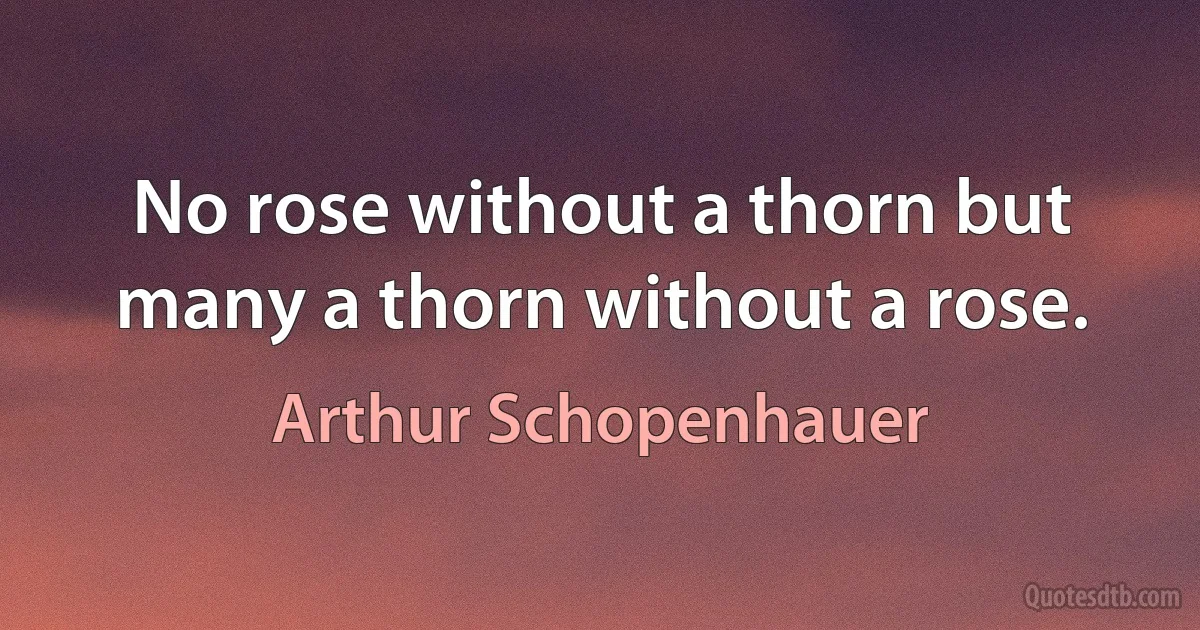 No rose without a thorn but many a thorn without a rose. (Arthur Schopenhauer)