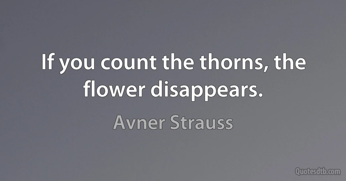 If you count the thorns, the flower disappears. (Avner Strauss)