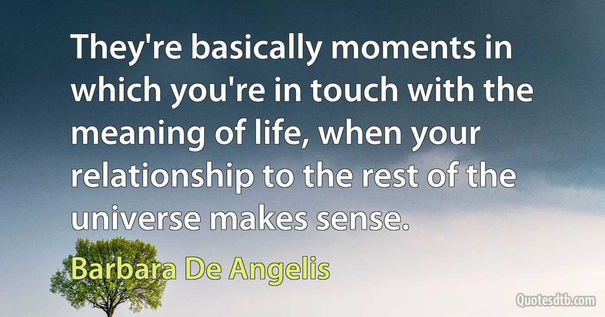 They're basically moments in which you're in touch with the meaning of life, when your relationship to the rest of the universe makes sense. (Barbara De Angelis)