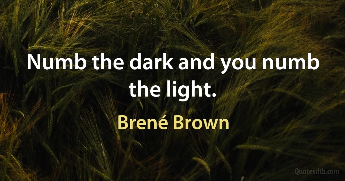 Numb the dark and you numb the light. (Brené Brown)