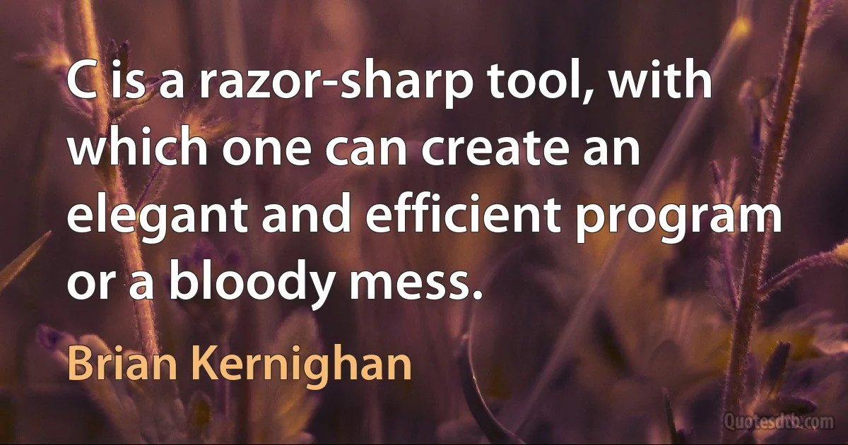 C is a razor-sharp tool, with which one can create an elegant and efficient program or a bloody mess. (Brian Kernighan)