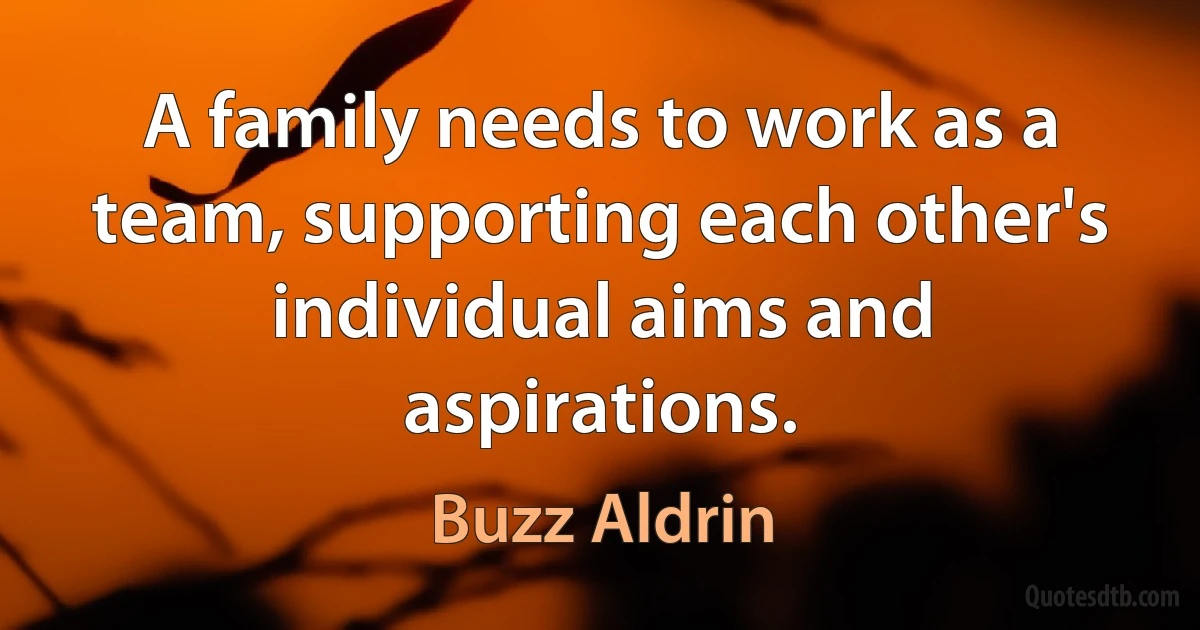 A family needs to work as a team, supporting each other's individual aims and aspirations. (Buzz Aldrin)