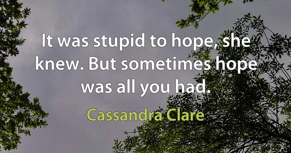 It was stupid to hope, she knew. But sometimes hope was all you had. (Cassandra Clare)