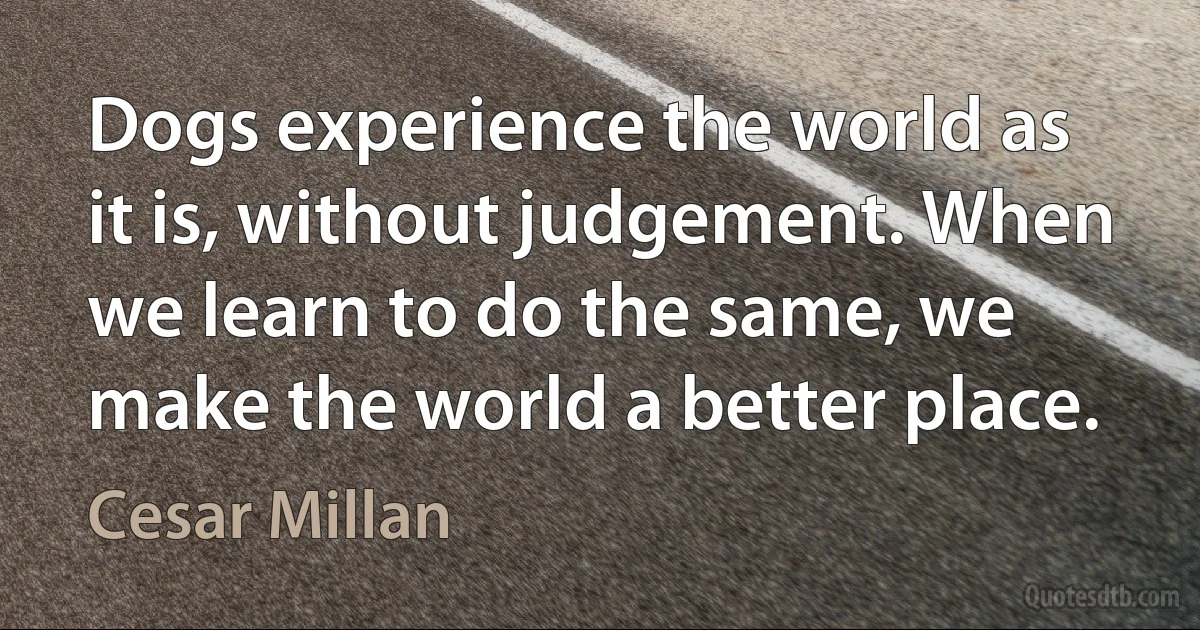 Dogs experience the world as it is, without judgement. When we learn to do the same, we make the world a better place. (Cesar Millan)