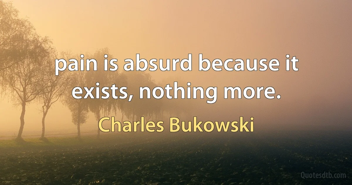 pain is absurd because it exists, nothing more. (Charles Bukowski)