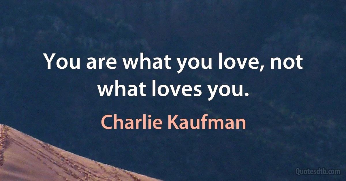 You are what you love, not what loves you. (Charlie Kaufman)